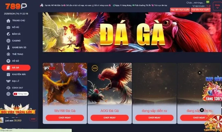 Đá Gà Tại 789P 1 Sảnh Đá Gà Tại 789P thiết kế giao diện đẹp, chuyên nghiệp