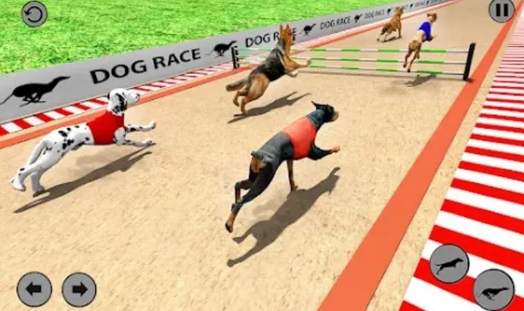 Bí Quyết Thắng Lớn Khi Chơi Đua Chó Nhanh Tại 789P Siêu Dễ 2 Cách chơi game Đua Chó Nhanh tại 789P