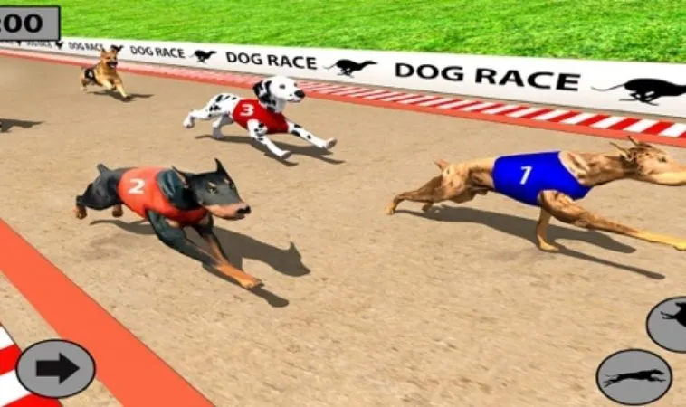 Bí Quyết Thắng Lớn Khi Chơi Đua Chó Nhanh Tại 789P Siêu Dễ 1 Đua Chó Nhanh tại 789P