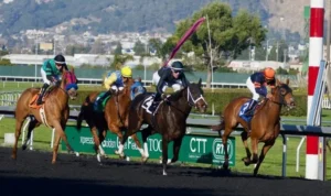 Hướng Dẫn Cá Cược Đua Ngựa 789P Chiến Thắng Dễ Dàng Hấp Dẫn 10 đua ngựa 789P