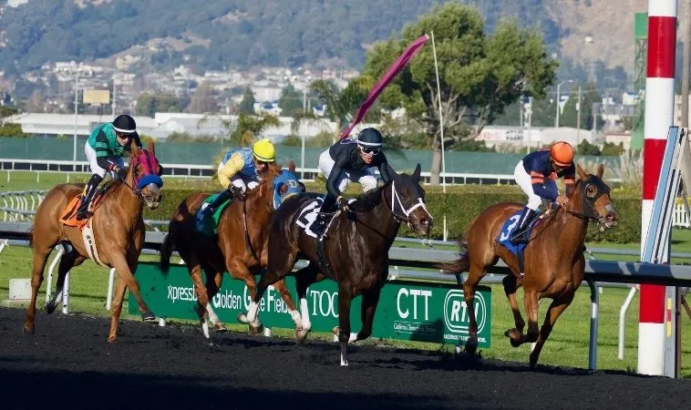 Hướng Dẫn Cá Cược Đua Ngựa 789P Chiến Thắng Dễ Dàng Hấp Dẫn 1 đua ngựa 789P