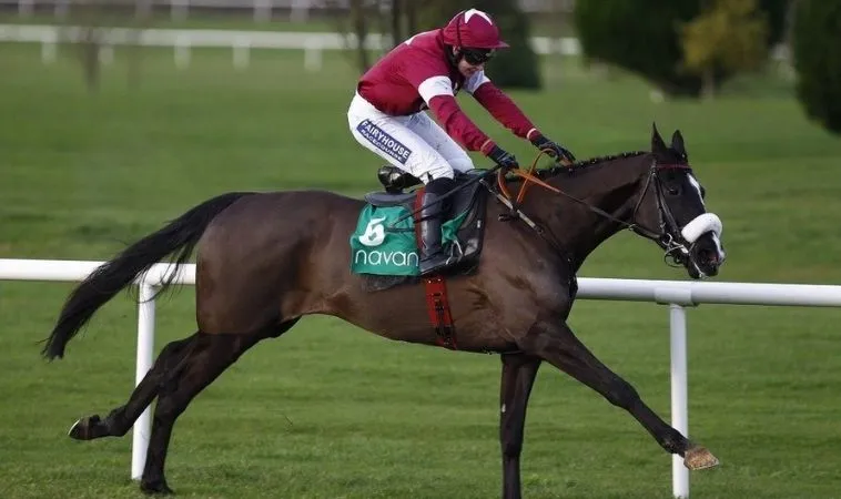 Hướng Dẫn Cá Cược Đua Ngựa 789P Chiến Thắng Dễ Dàng Hấp Dẫn 2 Cần tìm hiểu kỹ về bộ môn đua ngựa 789P trước khi tham gia cá cược